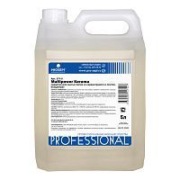 фото Средство для мытья плитки и керамогранита Prosept Multipower Kerama 5л